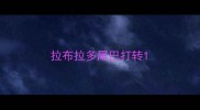 拉布拉多尾巴打转