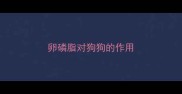 卵磷脂对狗狗的作用