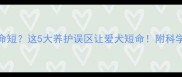 哈士奇寿命短这5大养护误区让爱犬短命附科学养宠指南