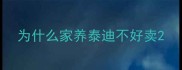 为什么家养泰迪不好卖