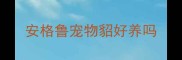 安格鲁宠物貂好养吗