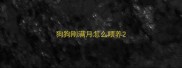 狗狗刚满月怎么喂养