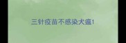 三针疫苗不感染犬瘟