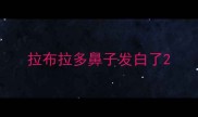拉布拉多鼻子发白了