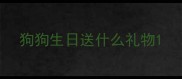 狗狗生日送什么礼物