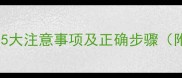 小狗洗澡全攻略5大注意事项及正确步骤附专业护理指南