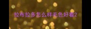 拉布拉多怎么样毛色好看