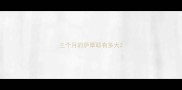 三个月的萨摩耶有多大