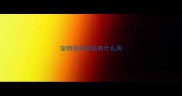 宠物接种疫苗有什么用