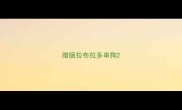 腊肠拉布拉多串狗