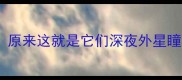 猫咪绿光眼睛原来这就是它们深夜外星瞳的科学真相