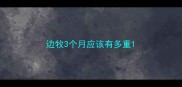 边牧3个月应该有多重