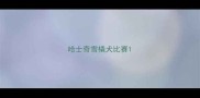 哈士奇雪橇犬比赛