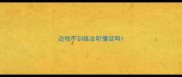 边牧不训练会听懂话吗