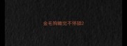 金毛狗睡觉不停舔
