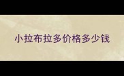 小拉布拉多价格多少钱