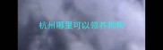 杭州哪里可以领养狗狗