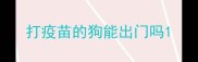 打疫苗的狗能出门吗