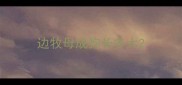 边牧母成狗长多大