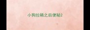 小狗拉稀之后便秘