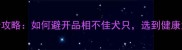 拉布拉多选购全攻略如何避开品相不佳犬只选到健康活泼的黄金伙伴