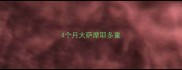 4个月大萨摩耶多重