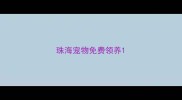 珠海宠物免费领养