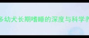 拉布拉多幼犬长期嗜睡的深度与科学养护方案