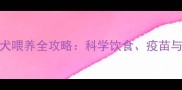 四个月泰迪幼犬喂养全攻略科学饮食疫苗与行为训练指南