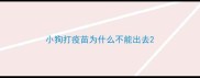 小狗打疫苗为什么不能出去