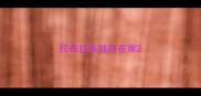 拉布拉多独自在家