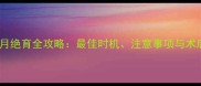 雪纳瑞5个月绝育全攻略最佳时机注意事项与术后护理指南