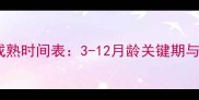 金毛犬性成熟时间表3-12月龄关键期与饲养指南