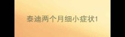 泰迪两个月细小症状