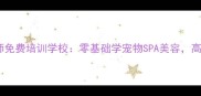 义乌宠物美容师免费培训学校零基础学宠物SPA美容高薪就业直通车