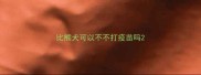 比熊犬可以不不打疫苗吗