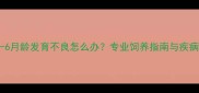 泰迪犬3-6月龄发育不良怎么办专业饲养指南与疾病预防全