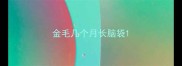金毛几个月长脑袋