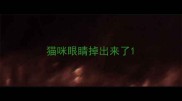 猫咪眼睛掉出来了