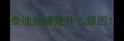 泰迪抽搐是什么原因