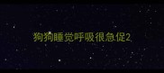 狗狗睡觉呼吸很急促