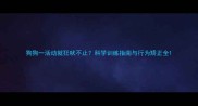 狗狗一活动就狂吠不止科学训练指南与行为矫正全