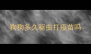 狗狗多久驱虫打疫苗吗