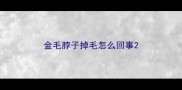 金毛脖子掉毛怎么回事