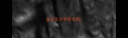 金毛多大容易生病