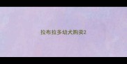 拉布拉多幼犬购卖