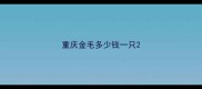 重庆金毛多少钱一只