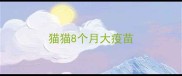 猫猫8个月大疫苗