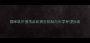 猫咪乳牙脱落后的再生机制与科学护理指南