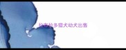 拉布拉多猎犬幼犬出售